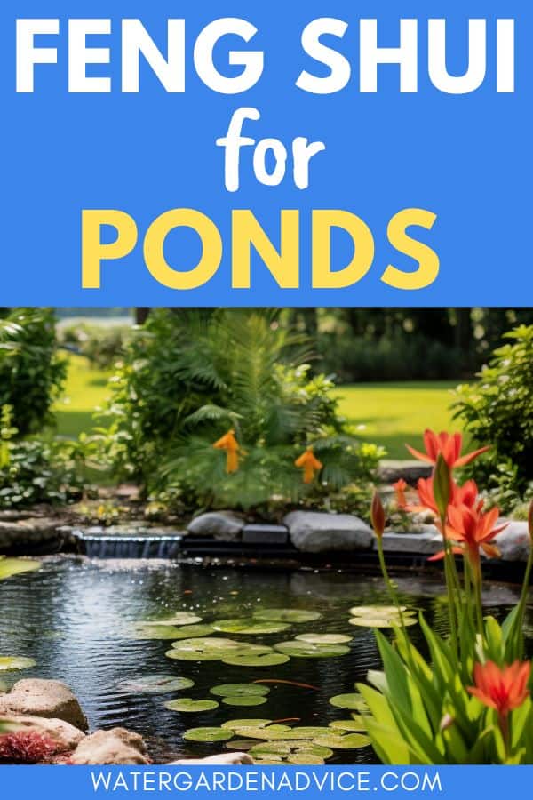 feng shui for pond design