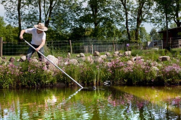 cleaning a small pond